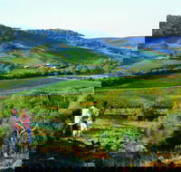 Chittering - Winery Find
