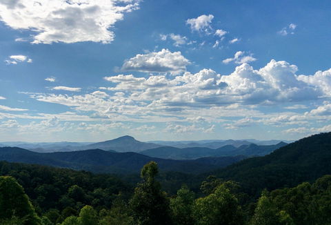 Collombatti - Winery Find 0