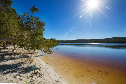 Dunwich (Goompie) - Winery Find 2