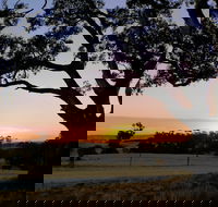 Eden Valley Lookout - Winery Find