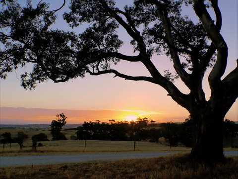 Eden Valley Lookout - Winery Find 0