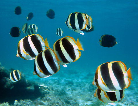 Erscott's Hole - Winery Find 1