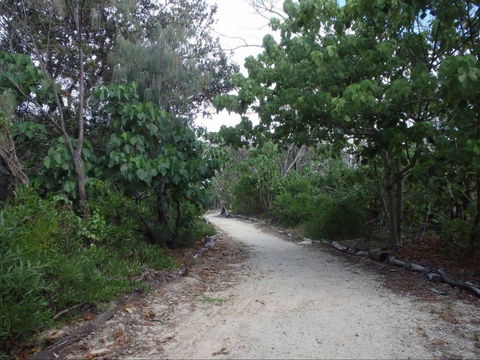Federation Walk - Winery Find 1