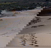 Foreshore Walk Mungo National Park - Winery Find