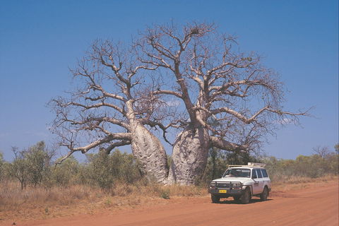 Gibb River Road - Winery Find 2