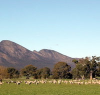 Grampians - Winery Find