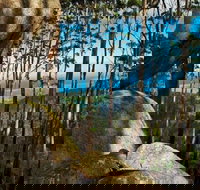 Gulaga Mountain Walk - Winery Find