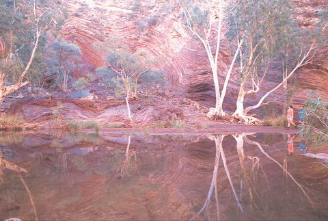 Hamersley Gorge - Winery Find 1