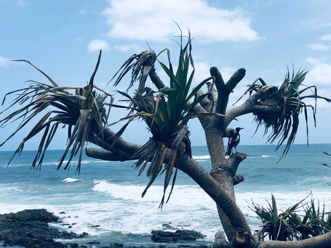 Hastings Point Beach - Winery Find 0