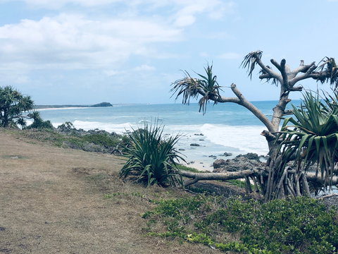 Hastings Point Beach - Winery Find 1