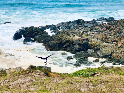 Hastings Point Beach - Winery Find 2