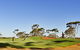 Kalgoorlie Golf Course - thumb 1