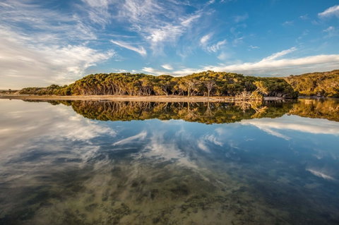 Lashmar Conservation Park - Winery Find 0