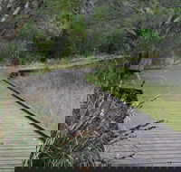 Leschenault Peninsula Conservation Park - Winery Find