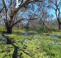 Macquarie Valley Trails - Winery Find
