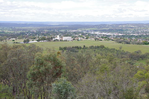 McIlveen Park Lookout - Winery Find 1