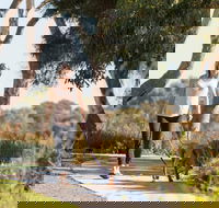 Meningie Walking and Cycling Trails - Winery Find