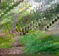 Meroo Lake walking track - Winery Find
