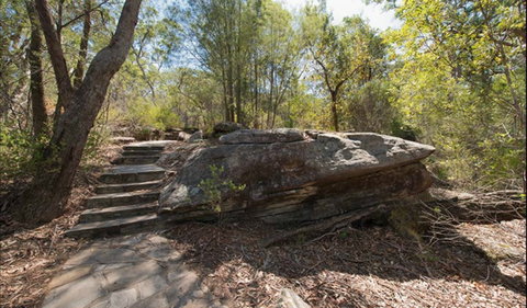 Mooney Mooney Nature Walk - Winery Find 0