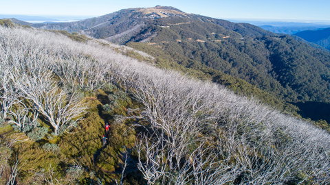 Mt Buller Bike Park - Winery Find 0