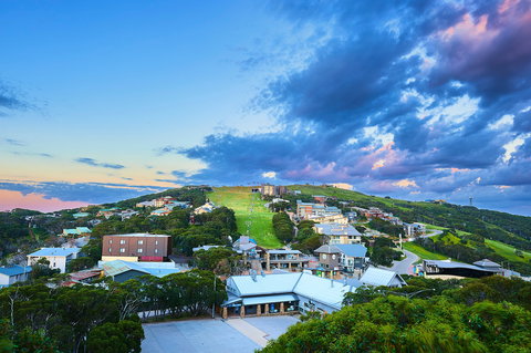 Mt Buller Bike Park - Winery Find 2