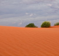 Munga-Thirri - Simpson Desert Conservation Park and Regional Reserve - Winery Find