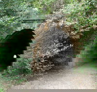 Mushroom Tunnel - Winery Find