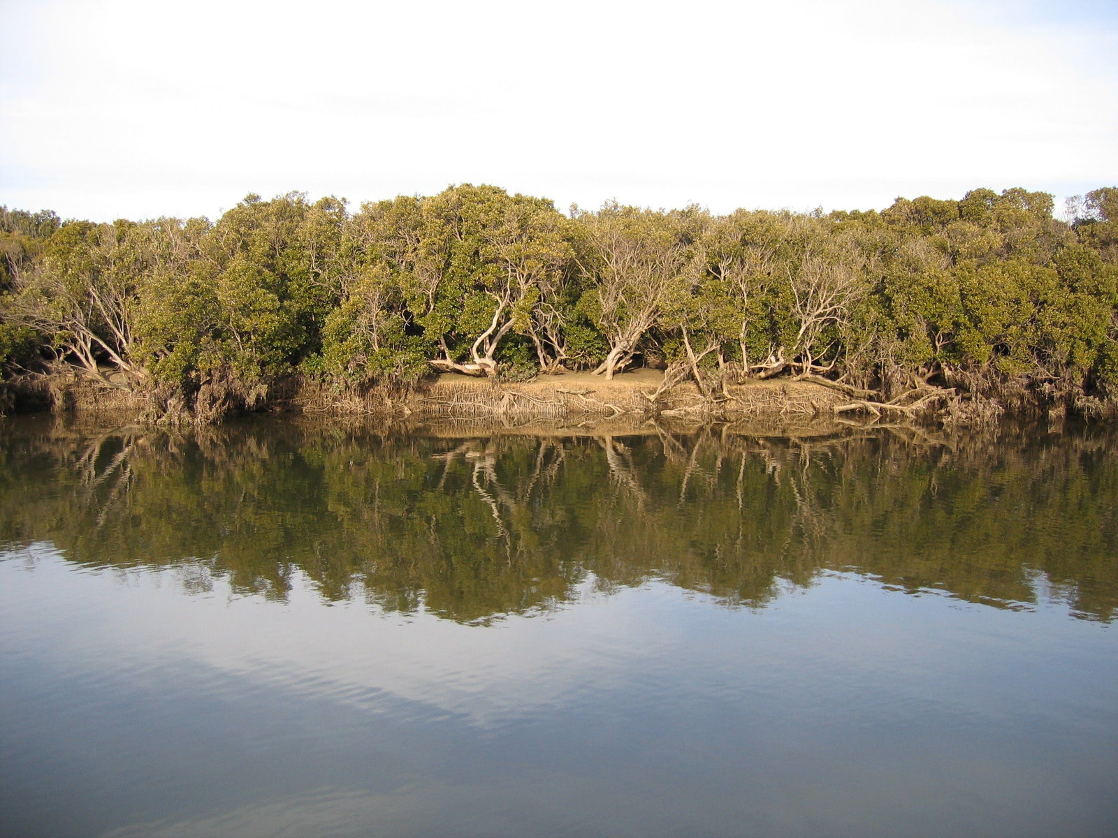 Yorke Peninsula SA Winery Find