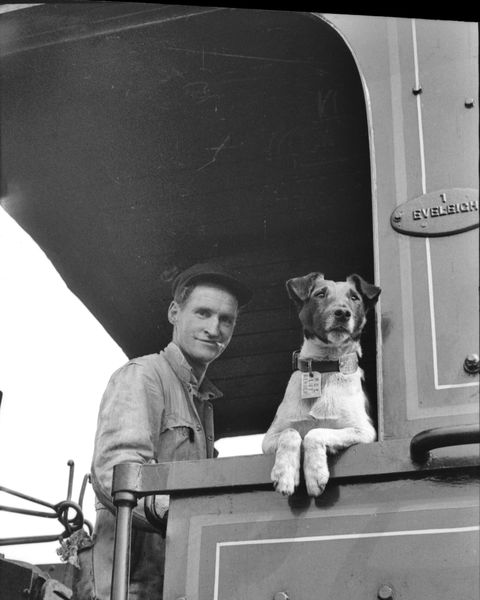 Railway Temora - Winery Find 0