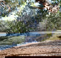 Silent Grove - Winery Find