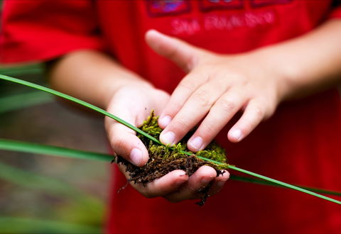 Strickland State Forest - Winery Find 1