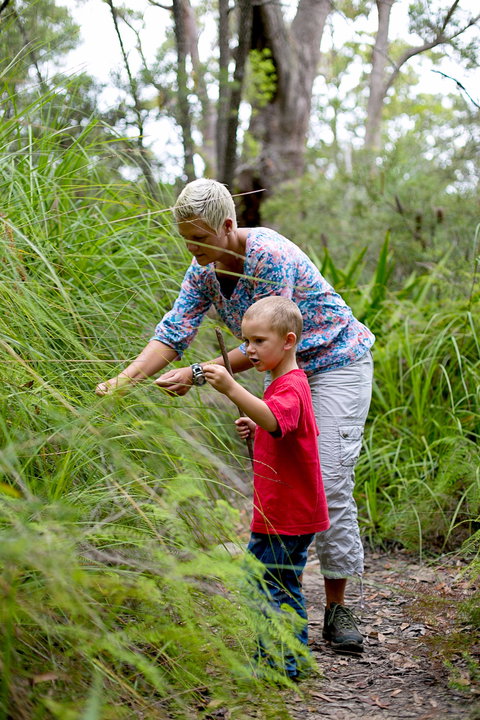 Strickland State Forest - Winery Find 2
