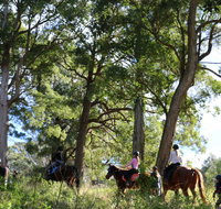 The Outlook Riding Academy - Winery Find