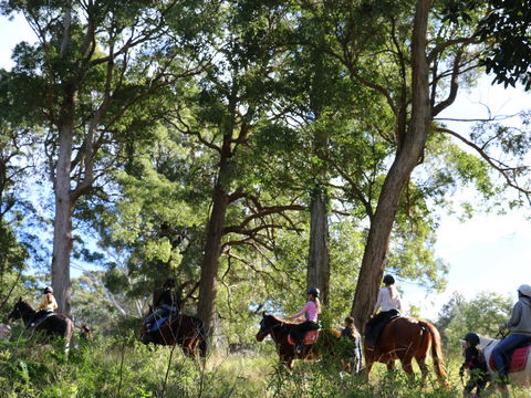 The Outlook Riding Academy - Winery Find 0