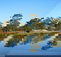 The Gums - Winery Find