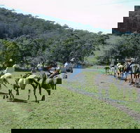 Timbertops - Horse Riding - Winery Find