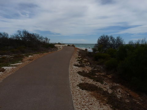 Turquoise Way Trail, Jurien Bay - Winery Find 0