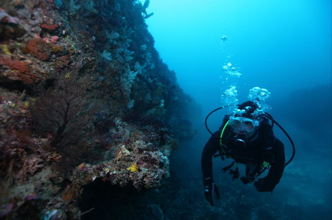 Twelve Apostles Marine National Park - Winery Find 0