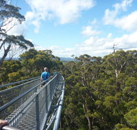 Walpole-Nornalup National Park - Winery Find