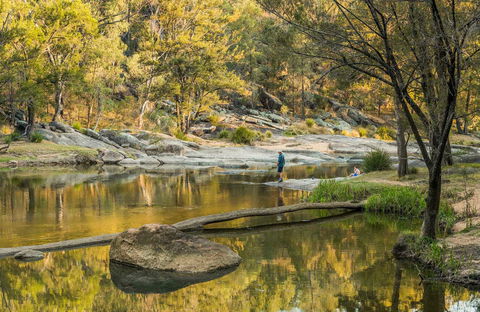 Warrabah National Park - Winery Find 0