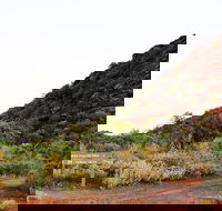 Whyalla Conservation Park - Winery Find