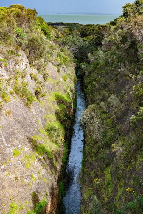 Woakwine Cutting - Winery Find 0