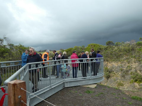 Woakwine Cutting - Winery Find 1