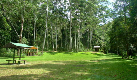 Woolgoolga Creek Picnic Area - Winery Find 0