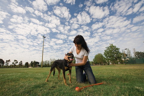 Albert Park - Winery Find 2