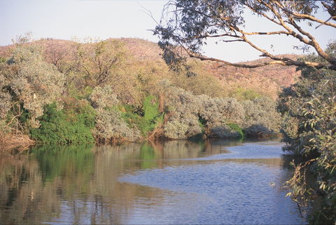 Alligator / Crocodile Hole - Winery Find 0