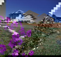Aramac - Winery Find