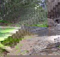 Bangadilly National Park - Winery Find