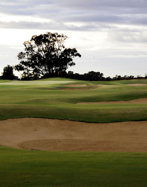 Black Bull Golf Course - Winery Find 1