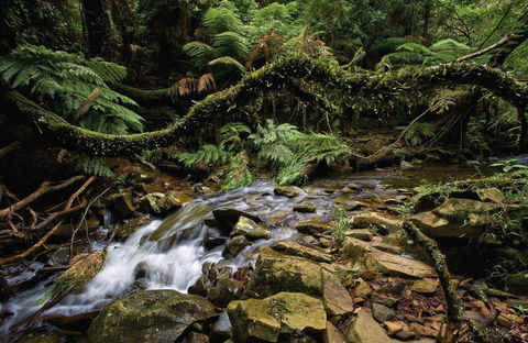 Budderoo National Park - Winery Find 0